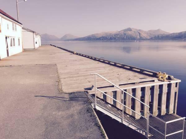 Aurora Harbour House Villa Lodingen Exterior foto